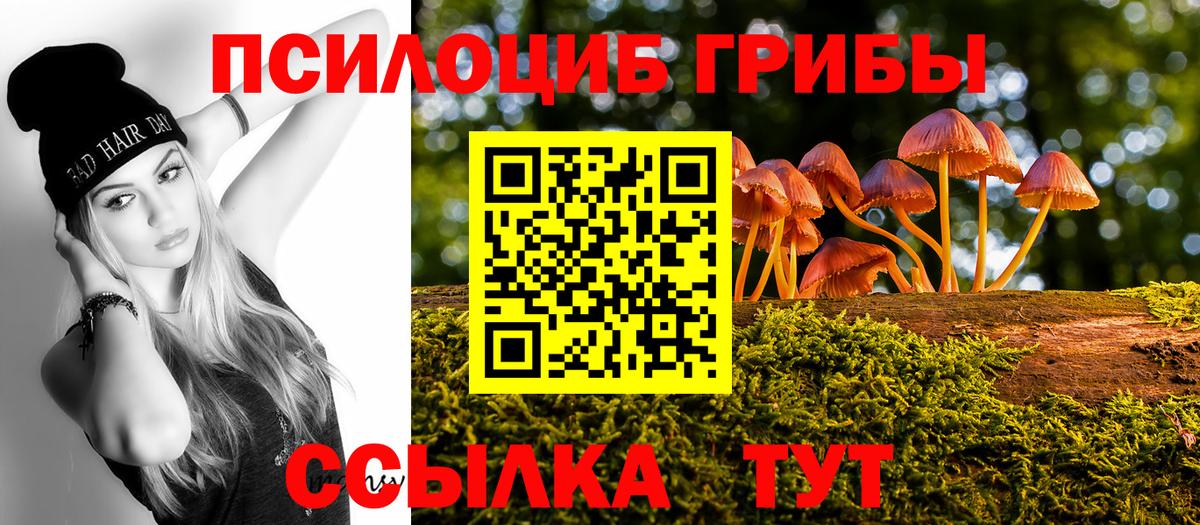 Зеленогорск  Галлюциногенные грибы Magic Shrooms  продажа наркотиков  Вход с VPN  Псилоцибиновые грибы прущие грибы 